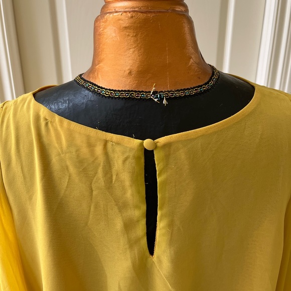 Beautiful Chiffon Dress or Top - Picture 4 of 8